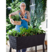 Picture of Elevated Garden Bed
