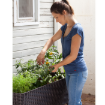 Picture of Elevated Garden Bed
